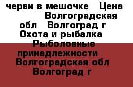 черви в мешочке › Цена ­ 1 500 - Волгоградская обл., Волгоград г. Охота и рыбалка » Рыболовные принадлежности   . Волгоградская обл.,Волгоград г.